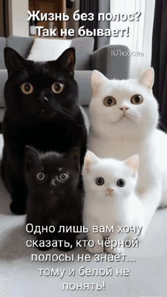 IMG 20250411 075345