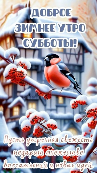 Доброе зимнее утро субботы!...