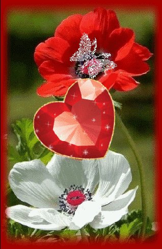 IMG 20170913 151306 0