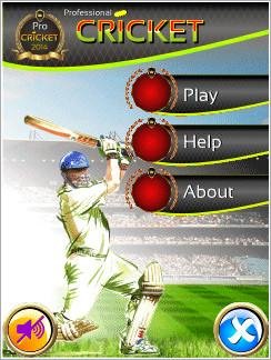 Pro Cricket 240x400