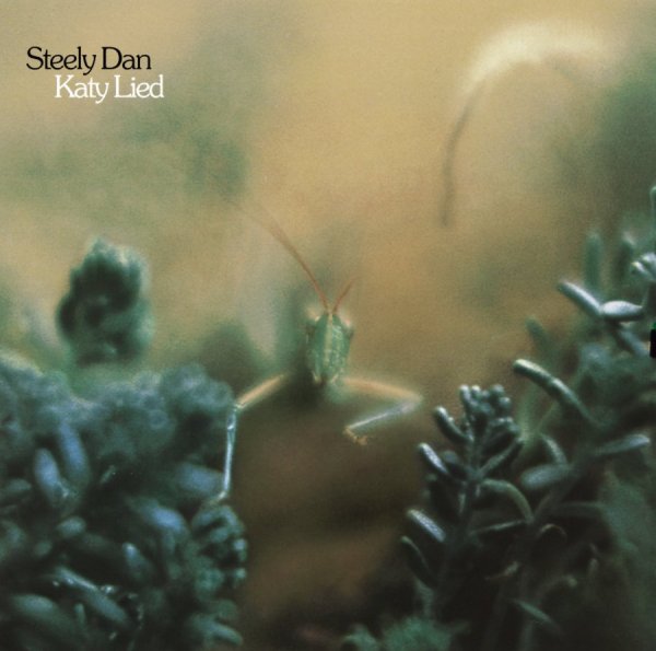 Steely Dan - Black Friday
