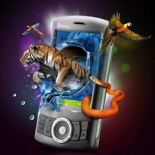 kombinatsiyа Ксюша