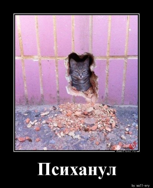 Psihanul demotions.ru