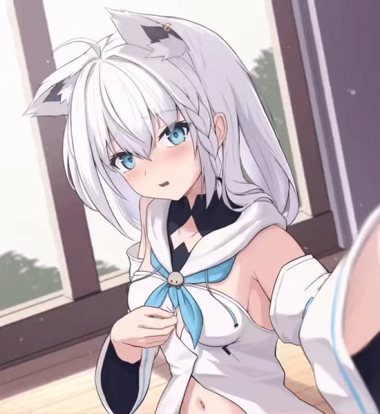 Left-(left-sio)-Shirakami-Fubuki-Hololive-Virtual-YouTuber