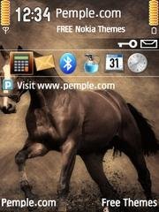 Horse Hd