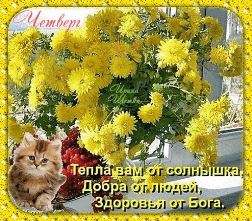 Анимированная открытка тепла вам от