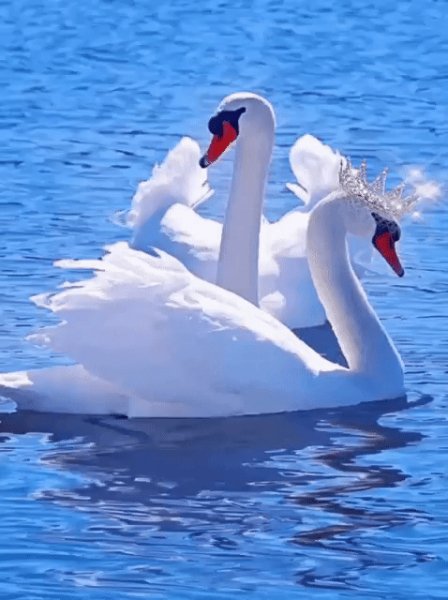 71cb71cd6cce1dc47c708e693cf9e5f2