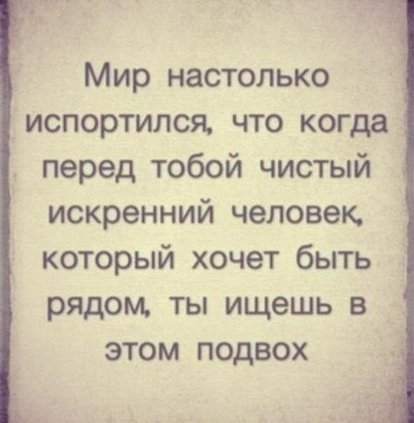 Афоризм