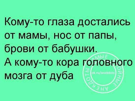 IMG 20250328 170626 636