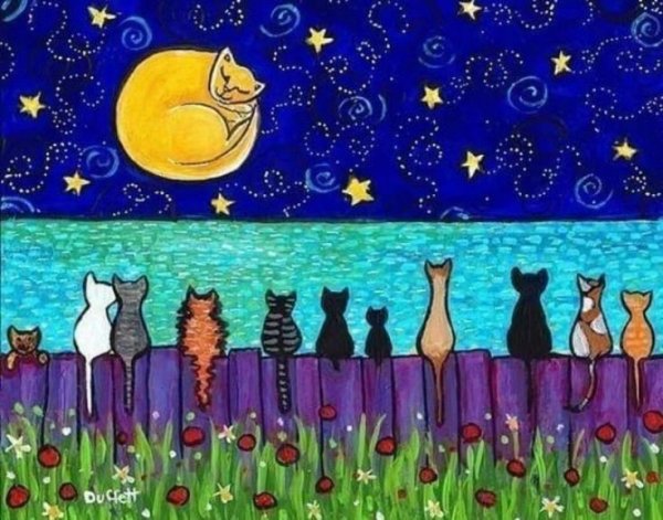 C60c02fd5411d9ec9f70b2fbcf7ed79e