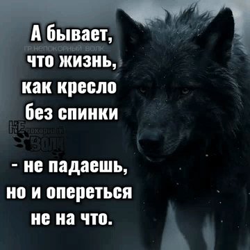 IMG 20260106 183811