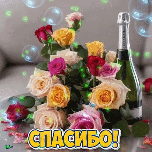 IMG 20260106 021911