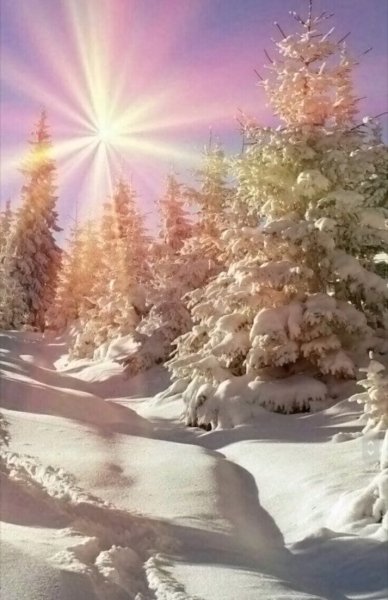 Зимнее утро