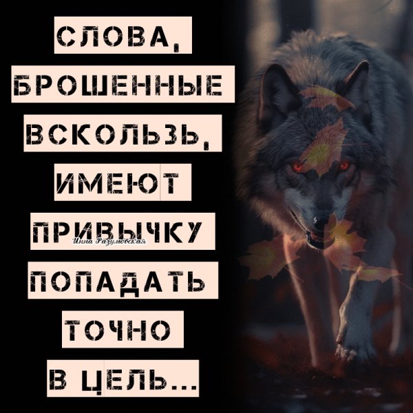 IMG 20260106 181505