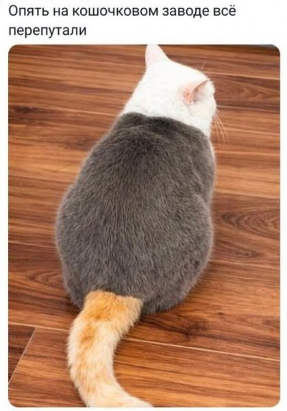 FB IMG 1776446831440