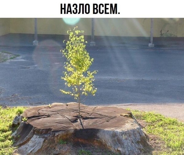 Всем чертям назло