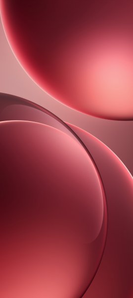adapted 1080x2408 1775571149
