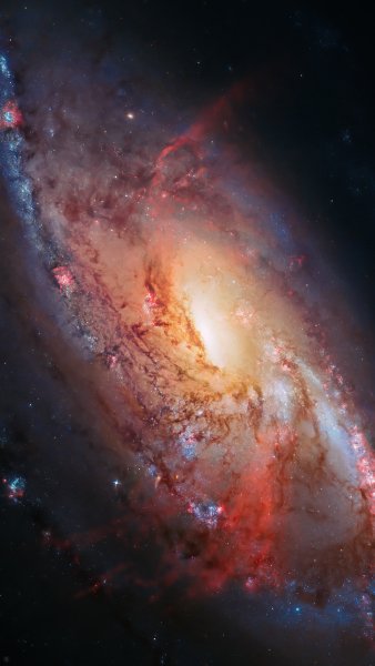 j79j
