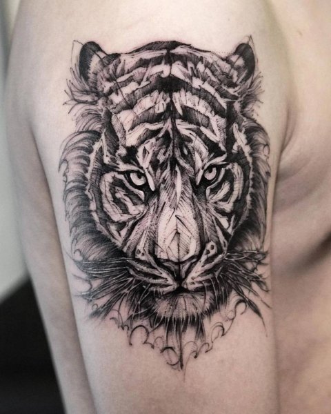 IMG 20250304 171548 121