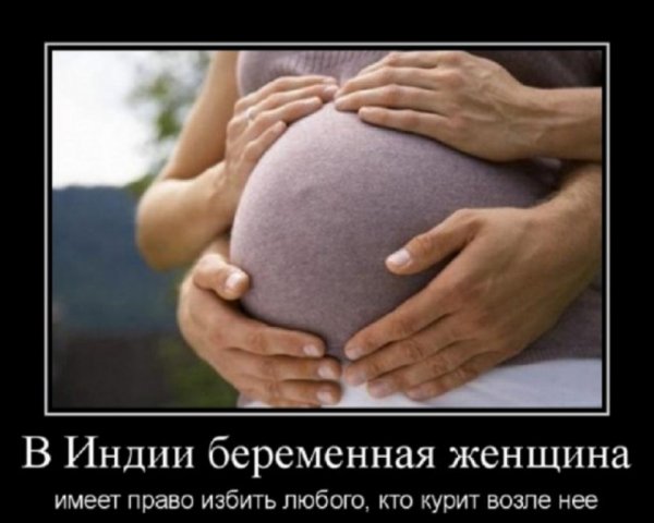 file_102066619