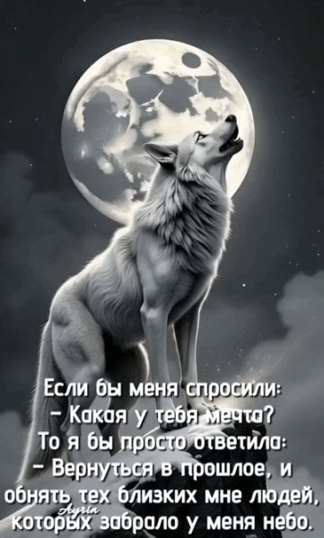 IMG 20250716 082344