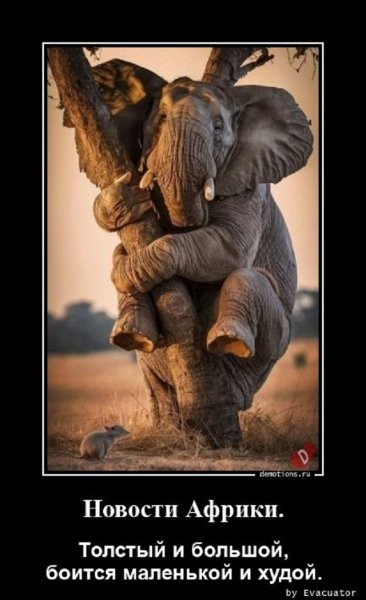 Новости Африки