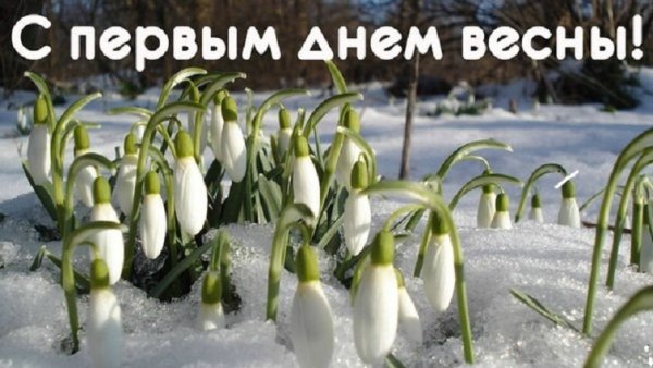 С первым днём весны!