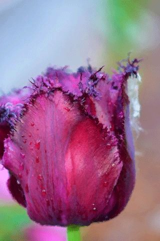 file_87884506