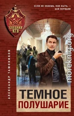 Темное полушарие