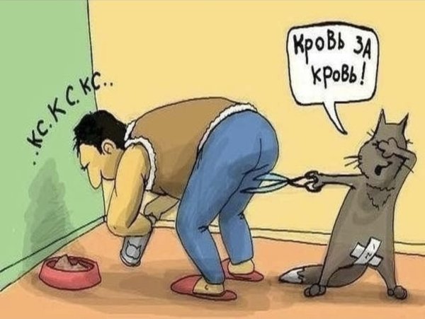 Кровь за кровь