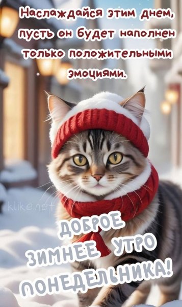 .Доброе зимнее утро понедельника
