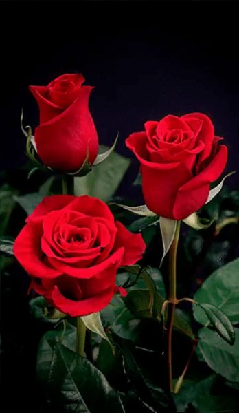 Для тебя.....