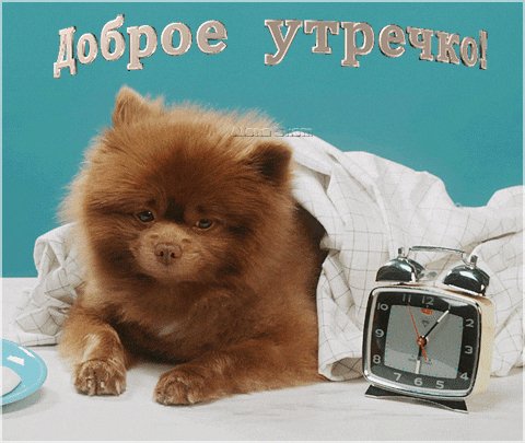 Анимированная открытка доброе утречко