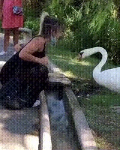 ))