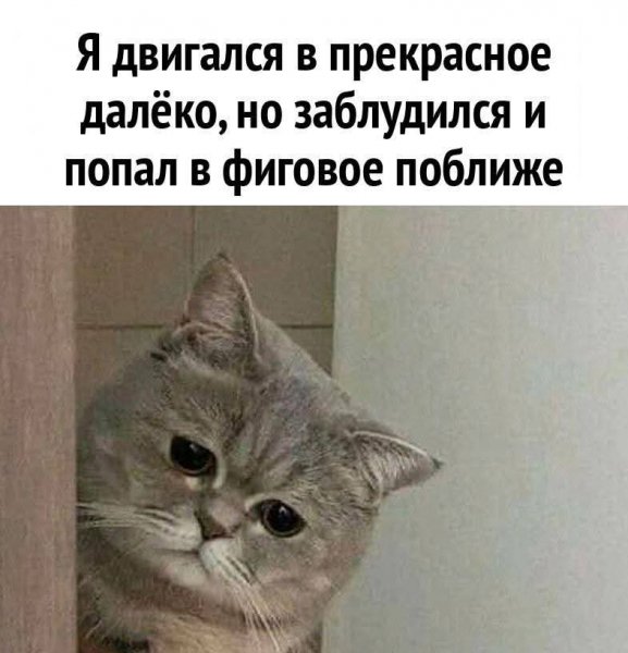 FB IMG 1774330915030