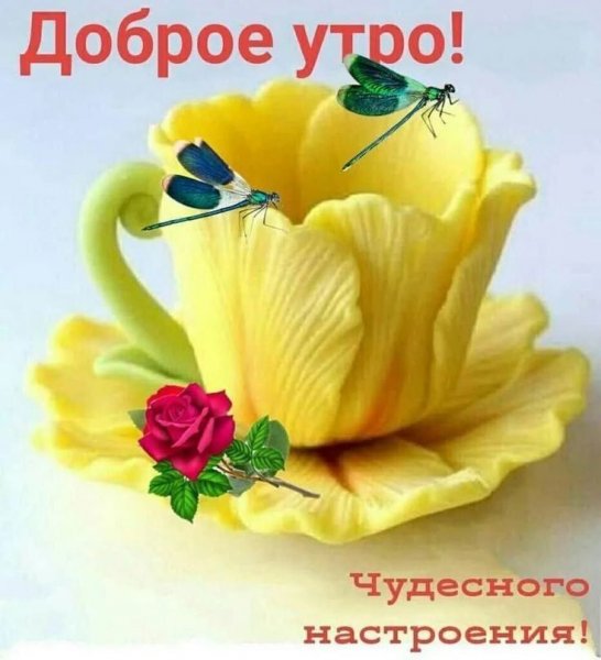 IMG-20260520-WA0002