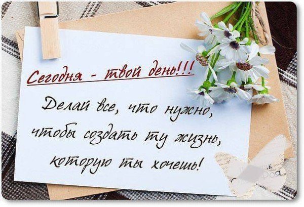 file_95223379