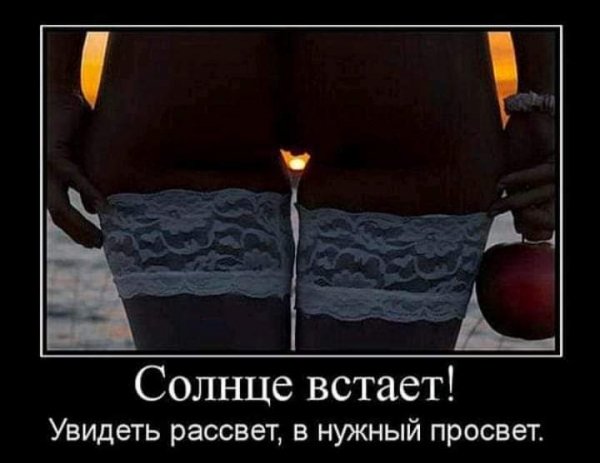 FB IMG 1543161785381