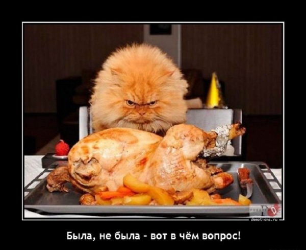 Была не была, вот в чём вопрос