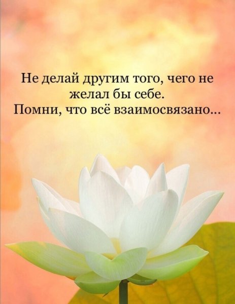 V46nkyJXvJx6Boz9TIoGHKXyv4oo AnDBWoYXy9yH4ANKIsEHtSeE