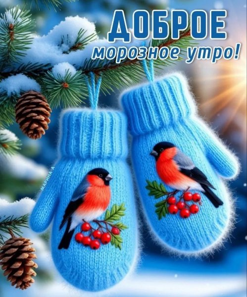 IMG 20251224 111512 493