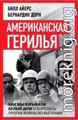 Американская герилья