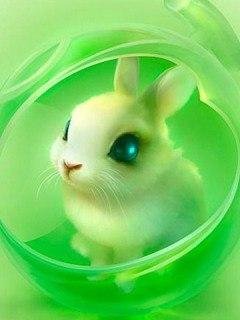 Bunny 01