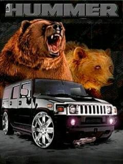Hammer car bear