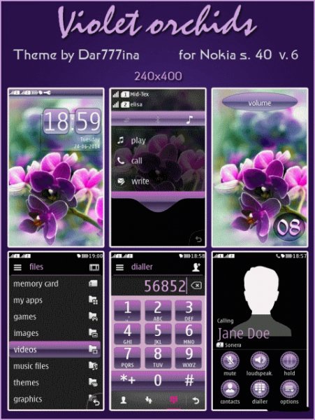 Violet-orchids