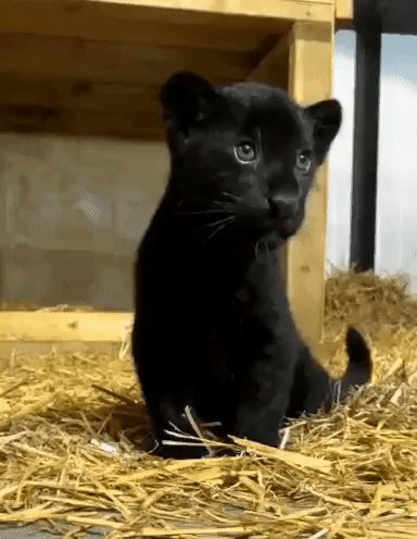 F3329709-F96E-4573-BF94-7DC8B27D631B