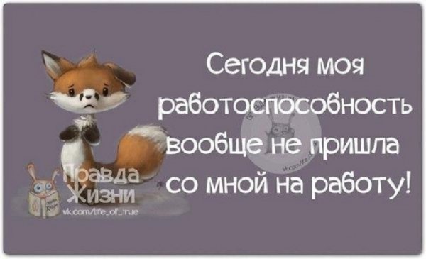 Сегодня моя ....