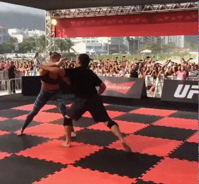 бои без правил, БППЕ, БМПЕ