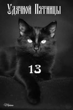 C4b4fdb20ae700b2f47ebf7d728db3a9