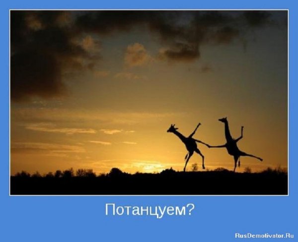 Потанцуем?